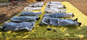 LIvekhabhar | Chhattisgarh News