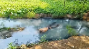 Raipur News : नाले में मिली लाश, सिर और कान में चोट के निशान, जताई जा रही हत्या की आशंका… 1 LIvekhabhar | Chhattisgarh News