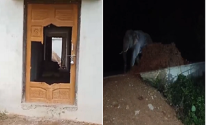 LIvekhabhar | Chhattisgarh News