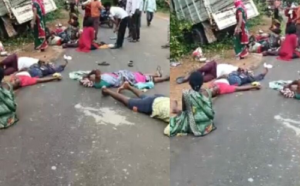 LIvekhabhar | Chhattisgarh News