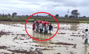 LIvekhabhar | Chhattisgarh News