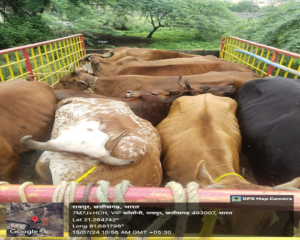 LIvekhabhar | Chhattisgarh News