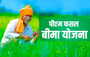 किसानों के लिए बड़ी खबर! अब 16 अगस्त तक करा सकेंगे फसलों का बीमा 1 LIvekhabhar | Chhattisgarh News