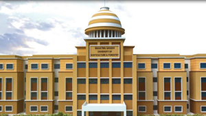 LIvekhabhar | Chhattisgarh News