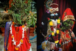 LIvekhabhar | Chhattisgarh News