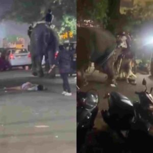 LIvekhabhar | Chhattisgarh News