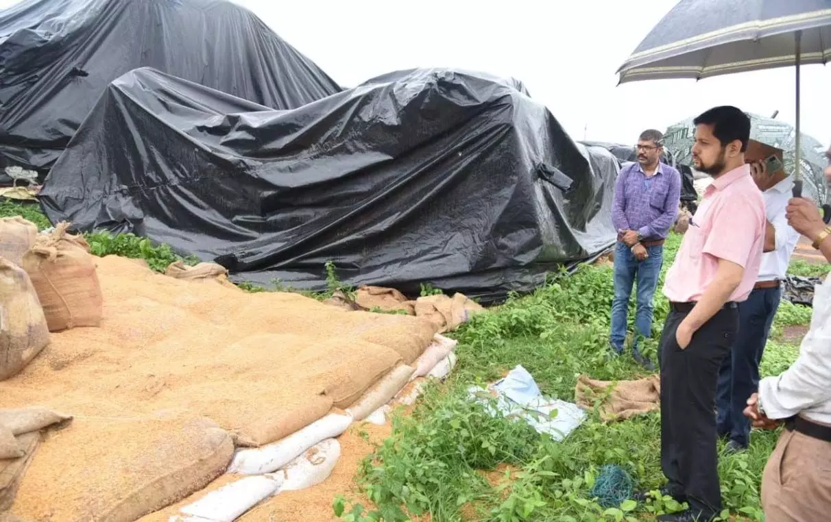 4721447-untitled-1-copy